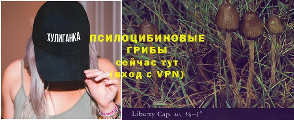 метадон Беломорск