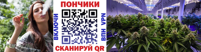 Бошки марихуана LSD WEED  цены наркотик  mega как зайти  Ершов 